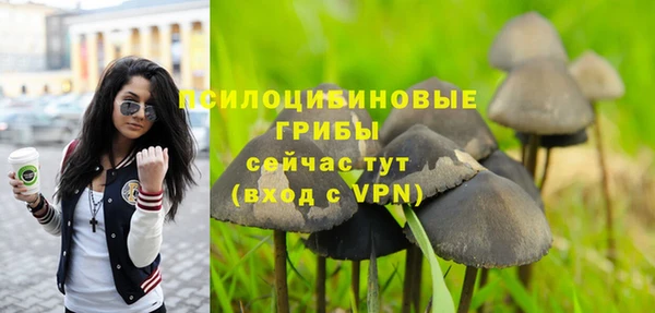 сатива Арсеньев