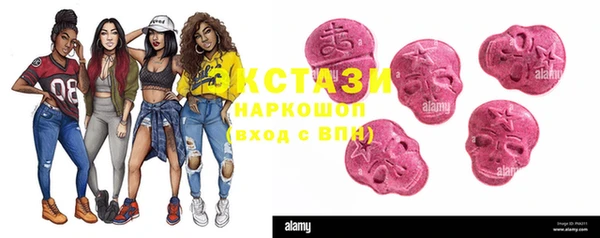 ГАЛЛЮЦИНОГЕННЫЕ ГРИБЫ Аркадак