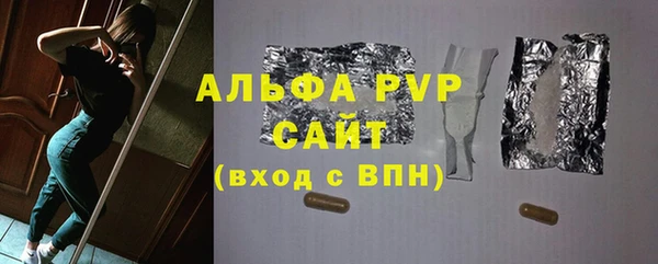 сатива Арсеньев