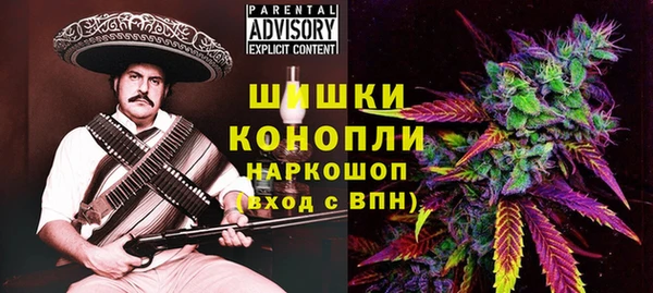 ГАЛЛЮЦИНОГЕННЫЕ ГРИБЫ Аркадак