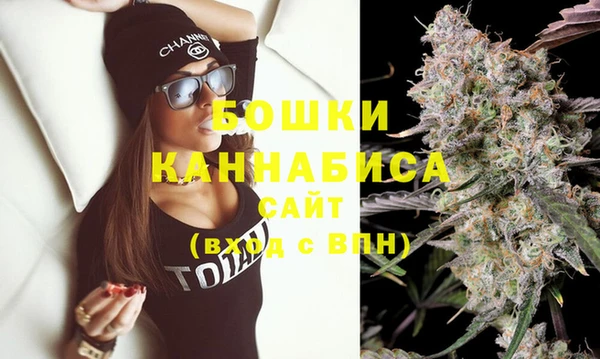 сатива Арсеньев