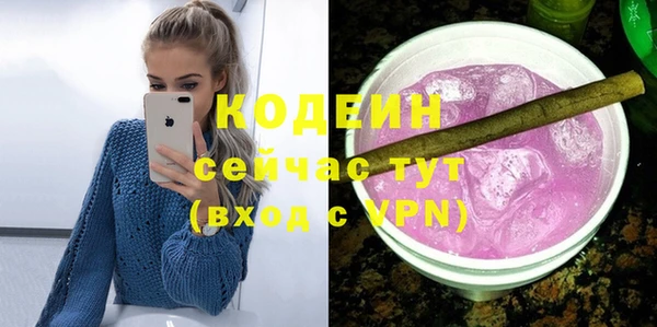 сатива Арсеньев