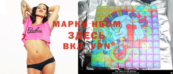 сатива Арсеньев