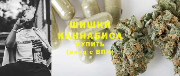 ГАЛЛЮЦИНОГЕННЫЕ ГРИБЫ Аркадак