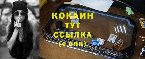 сатива Арсеньев