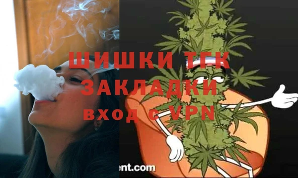 сатива Арсеньев