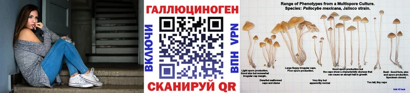 MEGA как зайти  Обоянь  Псилоцибиновые грибы мухоморы  купить наркотик 